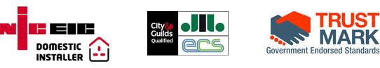 NIC EIC, ECS City & Guilds Qualified, Trust Mark - Government Endorsed Standards